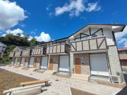 楓の木 II