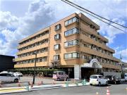アペックス開発