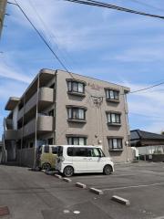ステラマリス
