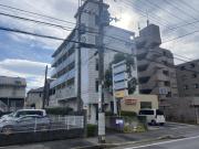 アドニス天王台