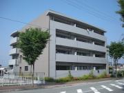 パインプロス