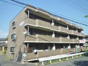 ＪＲ東海道本線石山駅まで徒歩43分