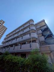 Collection鳳東町