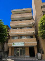 Amapola