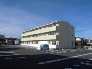 岡山軌道東山本線東山岡電ミュージアム駅まで徒歩71分