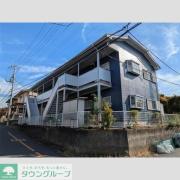 細野シーベル