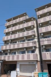 プレジオカーサ