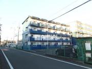 ライブ小島II