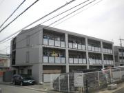 ライトパティオ上