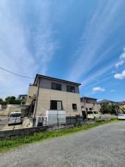 エバーグリーン