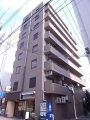 ルネッサンス・ヒカリ