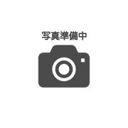 アウレリア東生駒