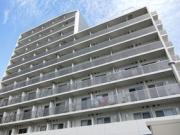 ＪＲ総武線（各駅停車）亀戸駅まで徒歩10分