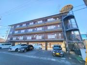 パルミラ田中