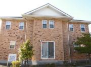 C′s Liberty春山E