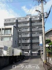 クリスタルハーモニー