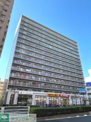 エスティメゾン大島