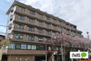 日神パレステージ亀有