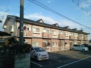 アネックス M