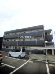 Sun flower今津