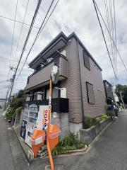 ゴールドクレスト
