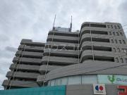 ＪＲ総武線（各駅停車）小岩駅まで徒歩10分