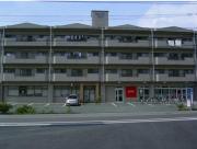 ヴェルファーレ長嶺II