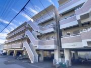 PERLA南川添 II
