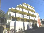 ヒルズロコ