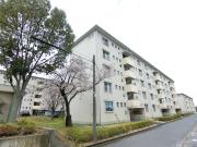 金剛第三住宅 219棟