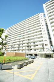 UR光が丘パークタウン大通り中央