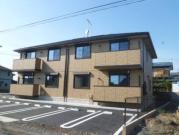 イエロー アイリス B 203