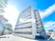 Sun State東海