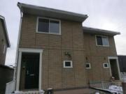 HOLY1（ホーリーワン） C