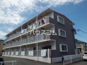 コスモス24