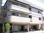 インフィニティ シバタ