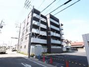 カサ ニコ
