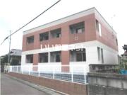 ensoleille′