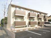 D room都