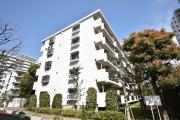 UR光が丘パークタウンいちょう通り八番街
