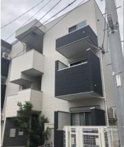 Pico LaMaison HAKATA