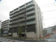 Winsome court