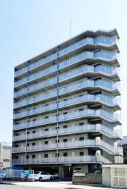 willDo九条
