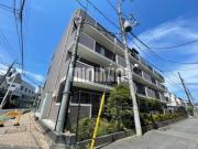 サンフラワー星川