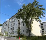 UR金剛団地 347号棟