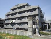 シャンテmaruwa