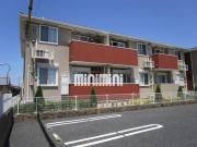 プルメリアY