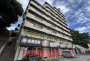 総建みどりハイム