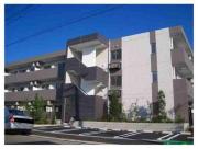 プリート カーサ イグサ