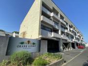 OHANA COURT-1